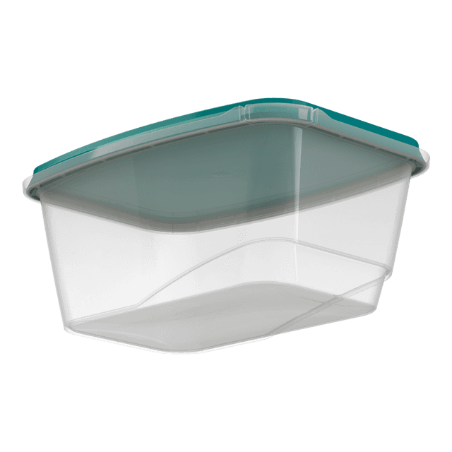 Container SnapPack Rectangle 16oz